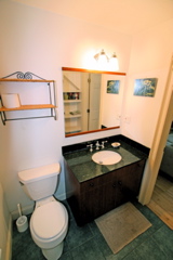 bath with shower
